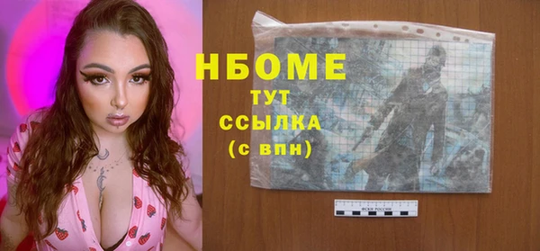 амф Гусиноозёрск