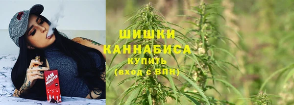 гидра Гусев