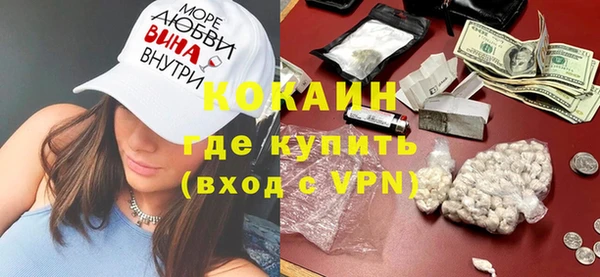 гидра Гусев