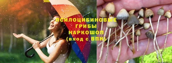 амф Гусиноозёрск