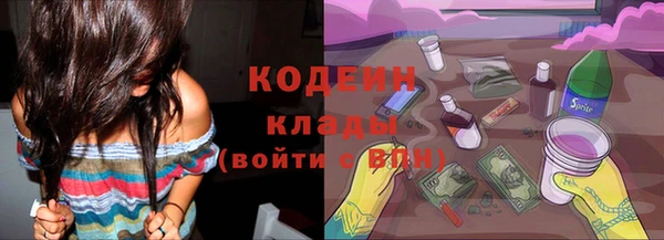 спайс Гусь-Хрустальный