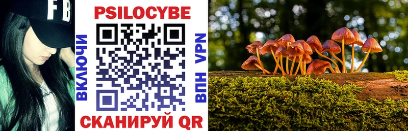 Купить закладки  Шарья  Псилоцибиновые грибы прущие грибы 