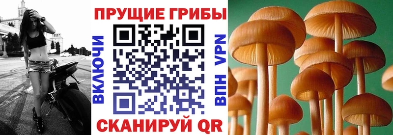 Галлюциногенные грибы мицелий Шарья